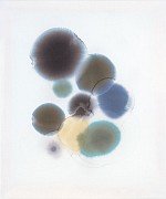 matti braun 2010 a 2