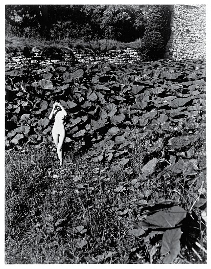 Jeff Cowen, Alexandra 31
2011, Gelatine silver print