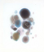 matti braun 2010 b 3