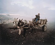 mikhael subotzky donkey cart vaalkoppies beaufort west rubbish dump