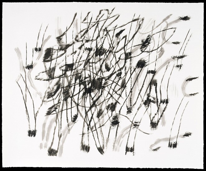 Julie Mehretu, Untitled
2021, Ink on paper