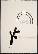 ip szh 01 b 01 copie