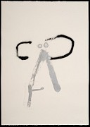 ip szh 01 f 01 copie