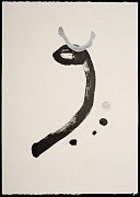 ip szh 01 g 01 copie