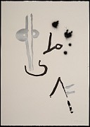 ip szh 01 h 01 copie