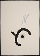 ip szh 01 k 01 copie